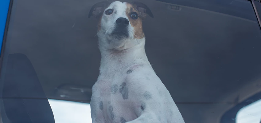 Car Lockout Solutions in Chino, California