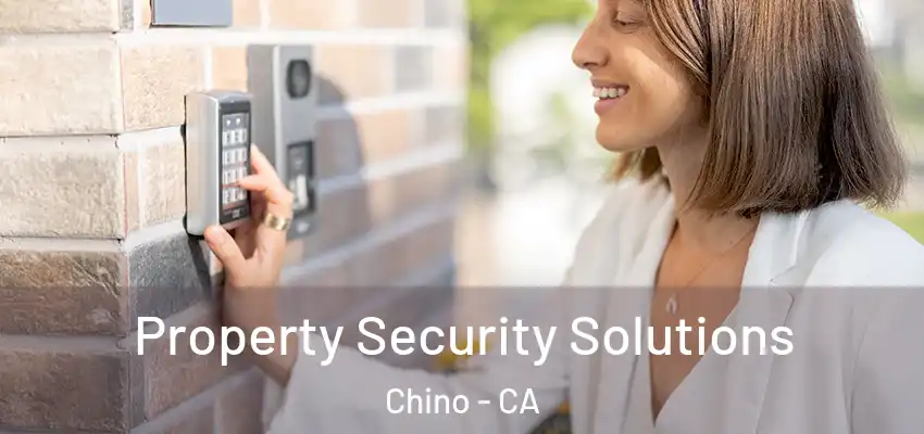  Property Security Solutions Chino - CA